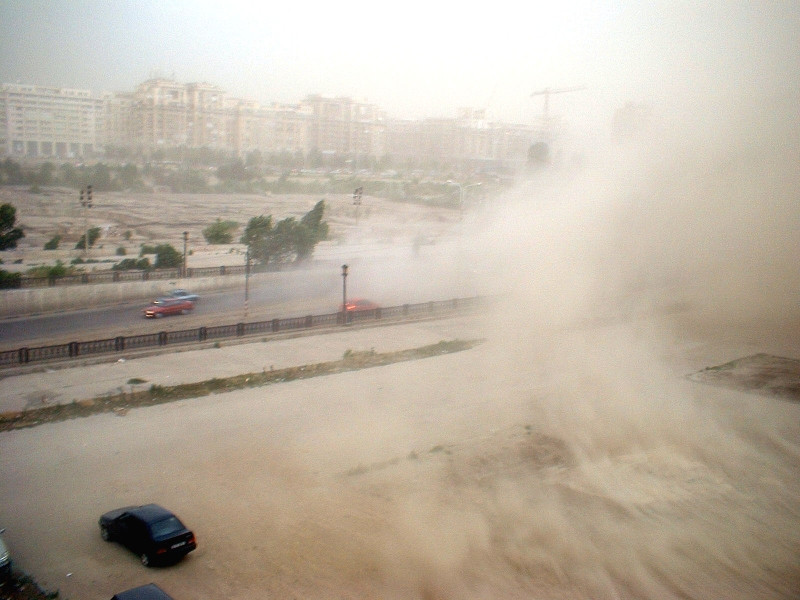 Mai putin praf in Capitala? Griul Bucuresti ar putea avea Brevetul Verde