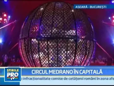 Iepurasul face deja cadouri: a adus un spectacol de circ in Bucuresti