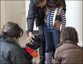 Bo, primul caine al Americii, sedinta foto in fata jurnalistilor!