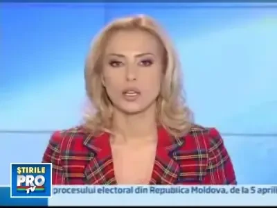 Muscata de un urs polar dupa ce a sarit in tarc