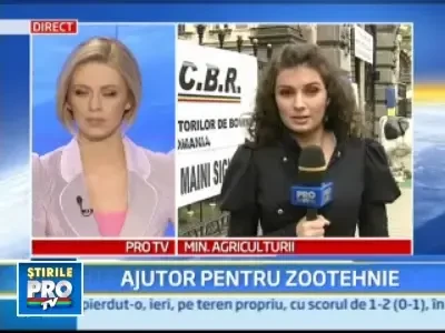 Crescatorii de animale protesteaza in fata Ministerului Agriculturii