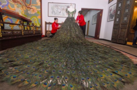 Ai purta in ziua nuntii o rochie de mireasa din 2.009 pene de paun?!