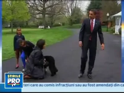 Bo, primul caine al Americii, sedinta foto in fata jurnalistilor!