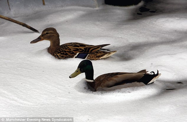 Ce se intampla daca pui detergent in rau?