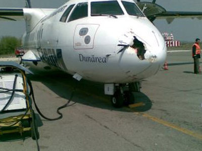 Peste 89.000 de cazuri in care avioanele au lovit pasari, in ultimii 19 ani