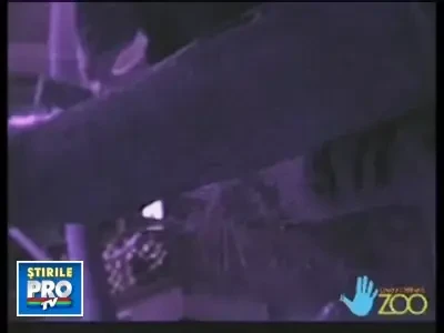 Imagini inedite! Uite cum arata un fat de cangur!