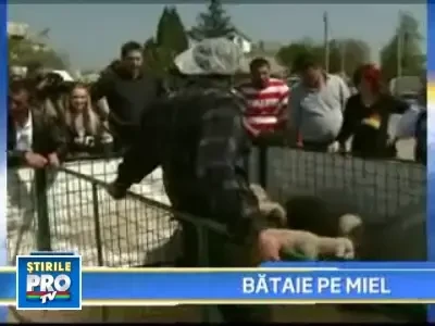 Mieii s-au vandut pe banda rulanta in toata tara!