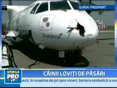 Sperietura cainilor rosii! Avionul echipei Dinamo, avariat in zbor!