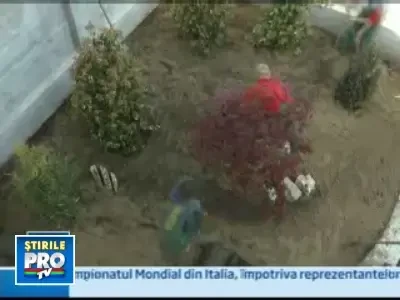 Afla ce se poarta in materie de gradini! E vremea peisagistilor