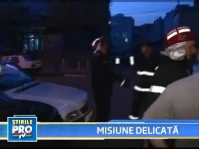 O pisica buclucasa a pus pe jar pompierii in Noaptea de Inviere!