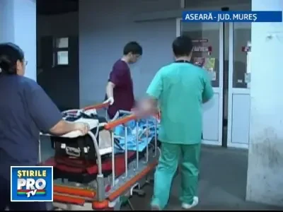 Copil sfasiat de un caine lup! Acum se zbate intre viata si moarte