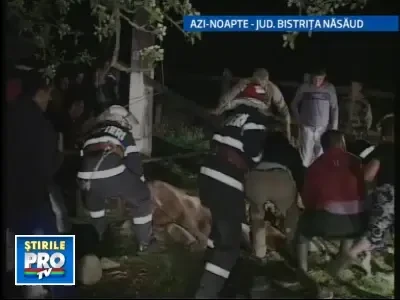 Atentie, cal cazut in fantana! Chemati pompierii!