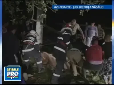 Atentie, cal cazut in fantana! Chemati pompierii!