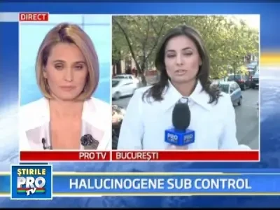 Salvia si inul, in atentia ministerului sanatatii! Plante halucinogene!