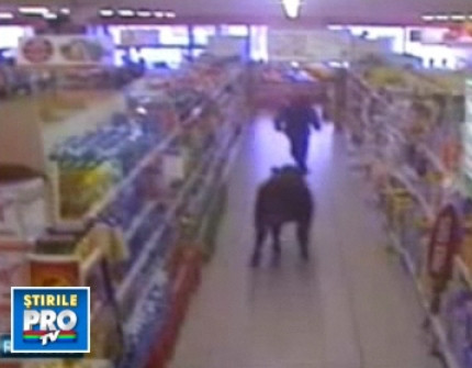 A vazut reduceri in fata ochilor! Taur, la cumparaturi intr-un supermarket!