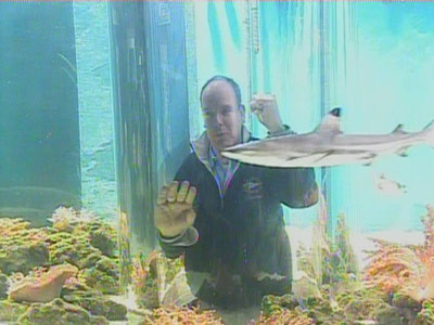 Printul Albert de Monaco, in genunchi in acvariul din Tulcea!