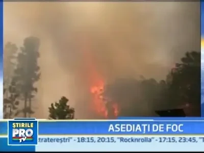 Incendii devastatoare in Carolina de Sud