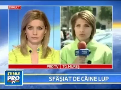 Starea baietelului sfasiat de un caine lup este stabila