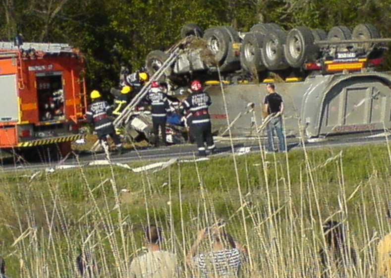 Carnagiu langa Cernavoda. Imagini primite de la un utilizator din Slobozia