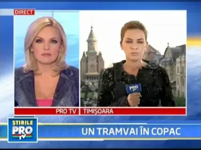 Timisoara: un copac s-a prabusit pe un tramvai cu 20 de pasageri inauntru!