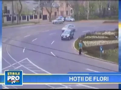 In Romania se fura orice! Pana si florile din ronduri si din parcuri!