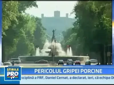 Teama in Mexic: milioane de oameni stau in case de frica gripei porcine!