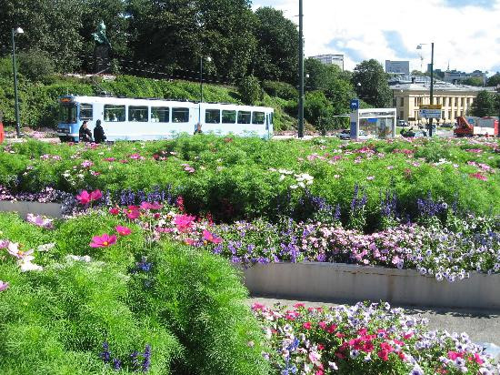 Muzicienii ambulanti, interzisi in Norvegia!