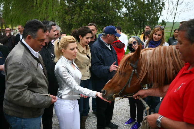 Elena Udrea: "Dati-va la o parte, ca acum sunt chiar pe cai mari!"