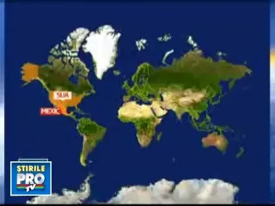 650 de bolnavi de "gripa porcina" pe glob! Vaccinul, gata in 30 de zile