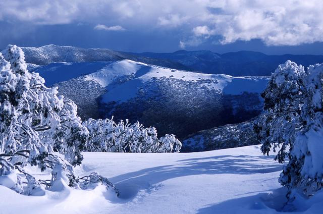 Tragedie in Alpii austrieci! Sase alpinisti au murit intr-o avalansa