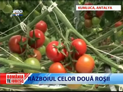 Romania, te iubesc! Ne-au invadat legumele si fructele turcesti