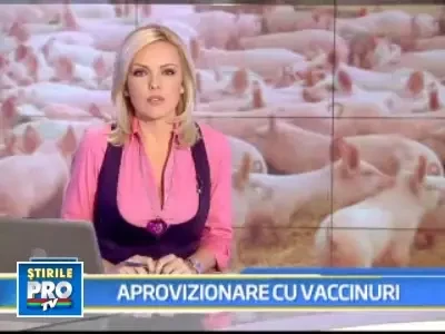 Sute de mii de porci macelariti in Egipt de frica gripei "porcine"!