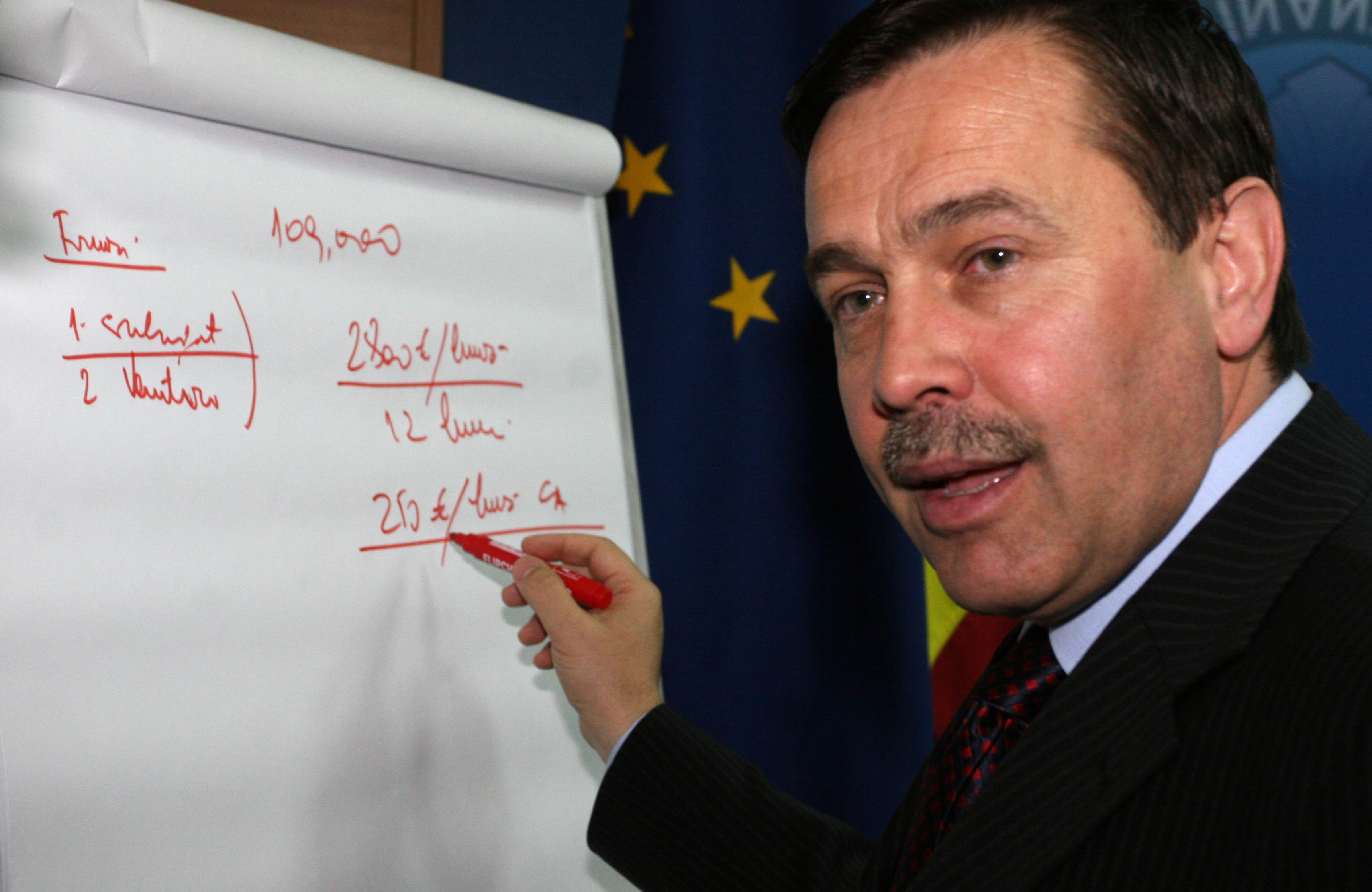 Pogea: 7% in PIB pentru investitii, in 2010