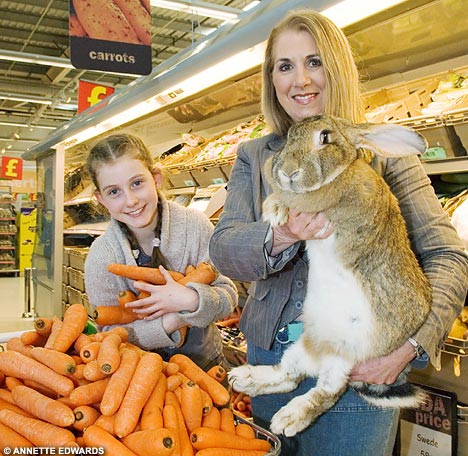 Suprasolicitarea de la locul de "munca" i-a provocat moartea!