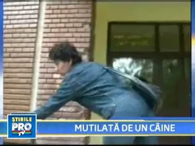 Risca sa ramana mutilata! O fetita de 10 ani, muscata de un rotweiller