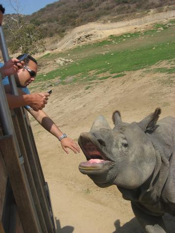 Africa de Sud propune: intre doua meciuri, vizitati cel mai mare safari