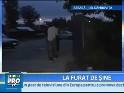 Au furat calea ferata! Nu deraiaza trenul dintr-atata, s-au aparat hotii