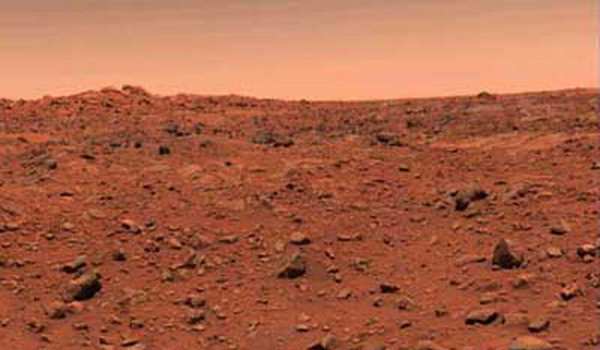 Pe Marte poate exista viata! O fiinta de pe Terra supravietuieste acolo!
