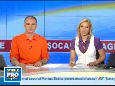 Englezi condamnati pentru cruzime fata de peste 100 de cai, magari si ponei