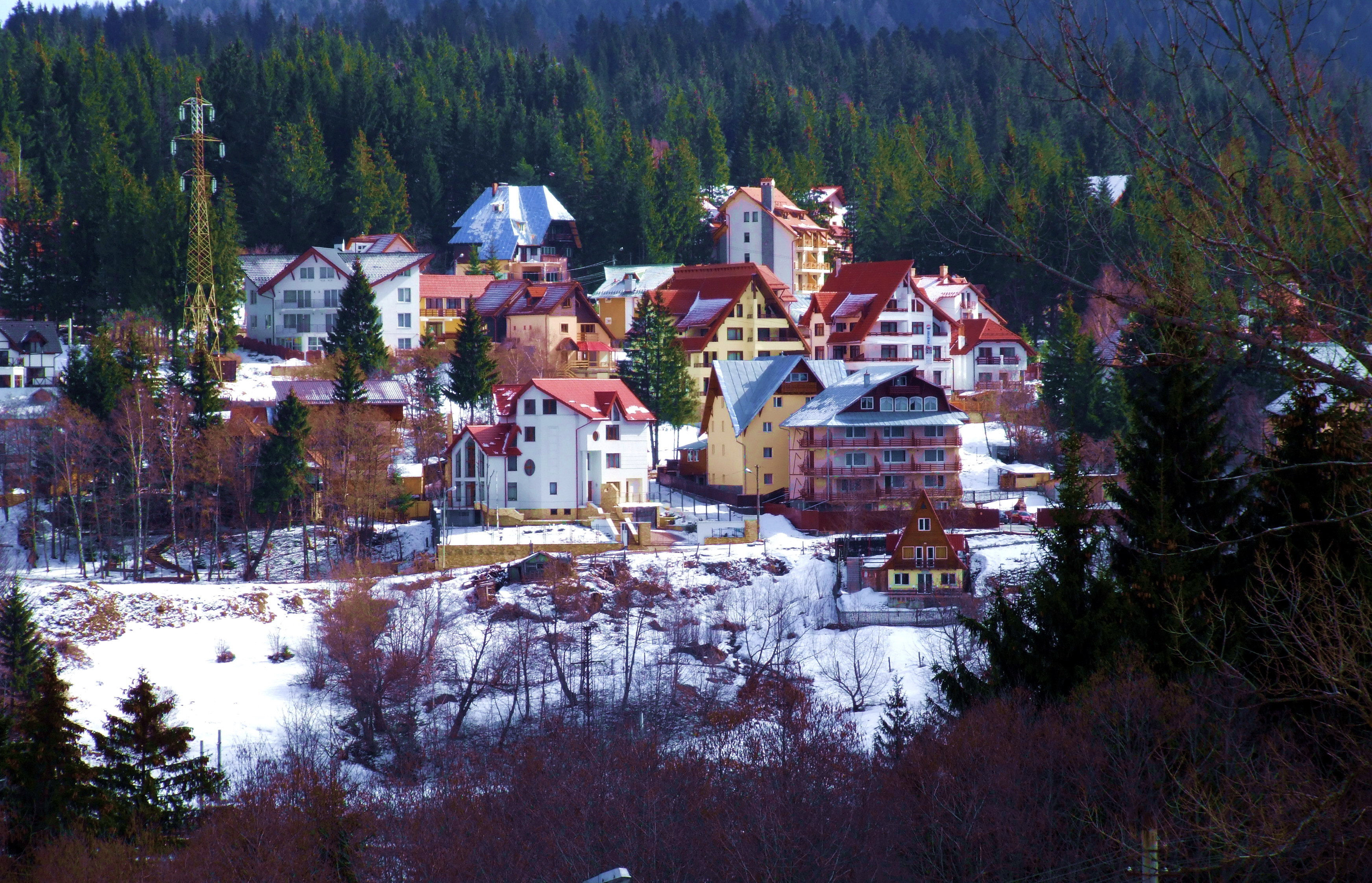 Revelion de criza! Preturile au scazut cu pana la 25% fata de anul trecut!