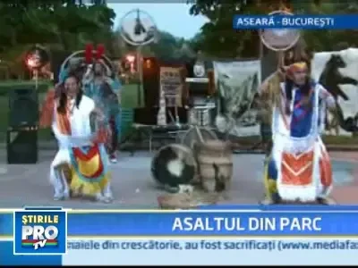 Vremea frumoasa din weekend i-a scos pe bucuresteni la plimbare!