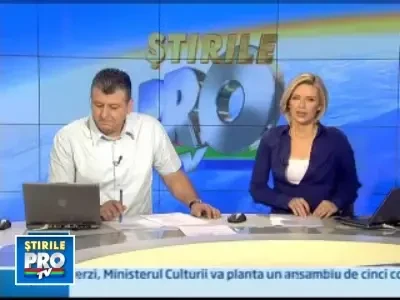 Firmele de dezinsectie au inceput lupta... cu tantarii!