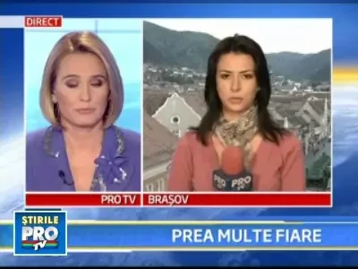 Aglomeratie in padure! Ursii, lupii si mistretii s-au inmultit ingrijorator