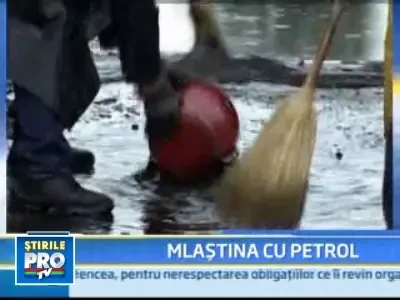 Mlastina cu reziduuri petroliere in Ploiesti! Cosmar ecologic!