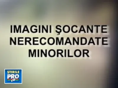 IMAGINI SOCANTE! Pietoni spulberati ca la popice!