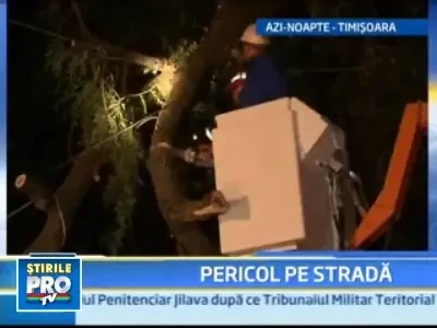 Un copac care s-a rupt a distrus o masina si a lasat in bezna un cartier