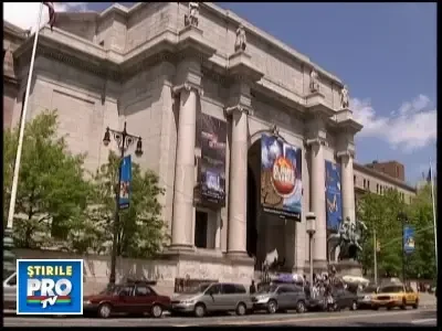 Cele mai uimitoare mamifere. Vezi VIDEO