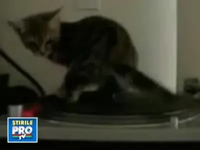 Vezi aici un DJ de mare success!