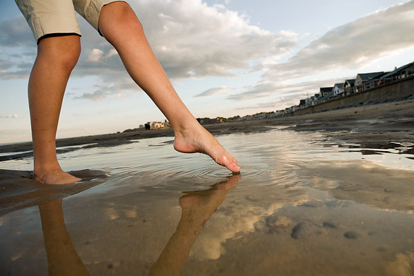 CSID: Basicile, o problema spinoasa, mai ales vara!