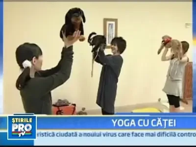 S-a inventat Dog Yoga! O activitate dedicata EXCLUSIV stapanilor